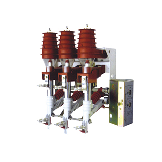 FZN25-12D T630-20 FZRN25-12D T125-31.5